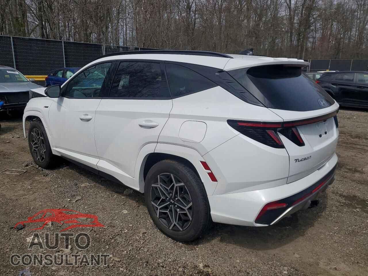 HYUNDAI TUCSON 2024 - KM8JFCD16RU147724