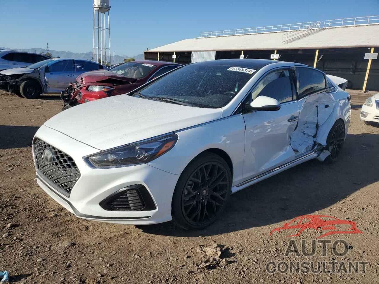 HYUNDAI SONATA 2019 - 5NPE34AB7KH761358