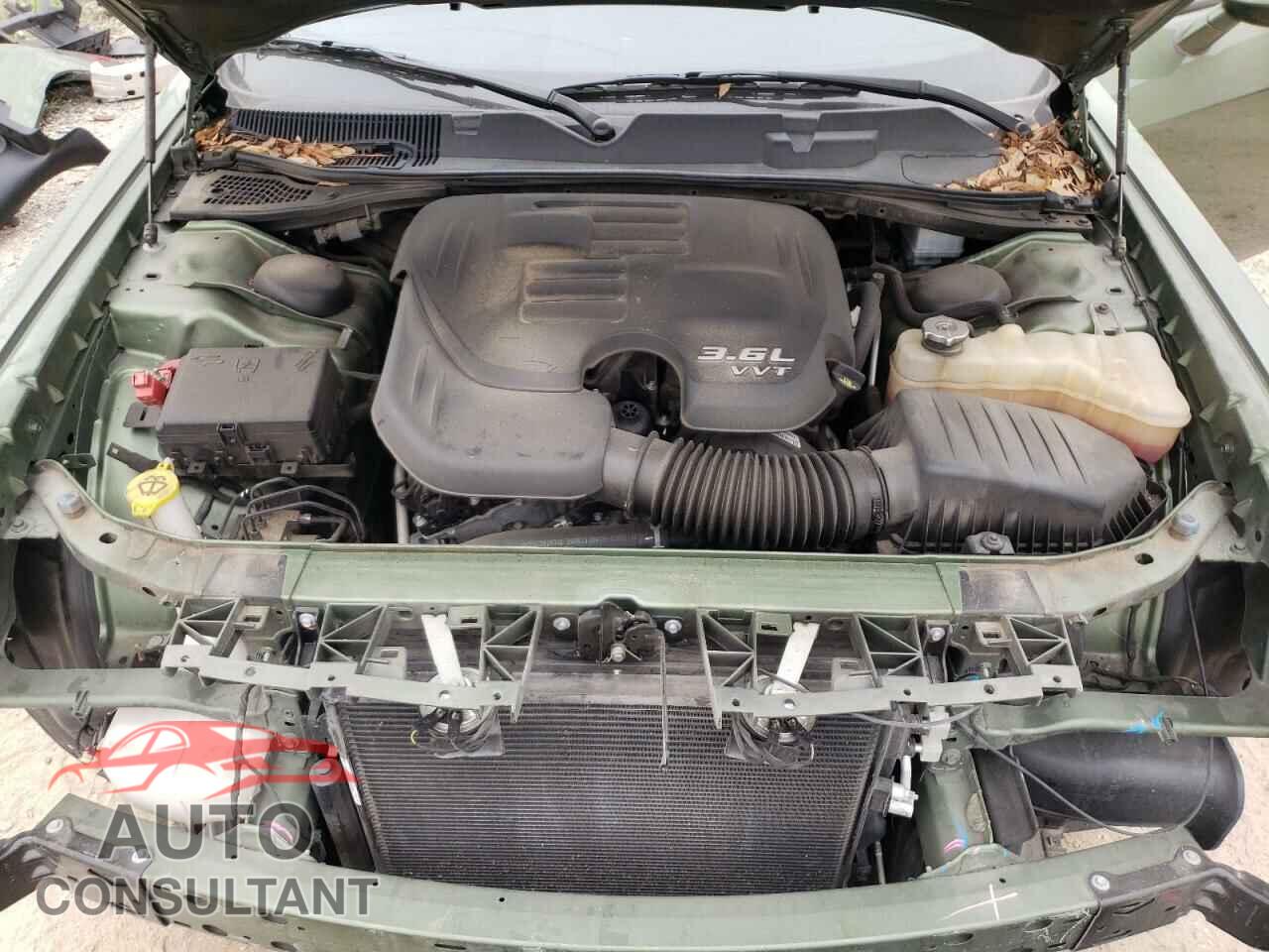 DODGE CHALLENGER 2021 - 2C3CDZAGXMH555951