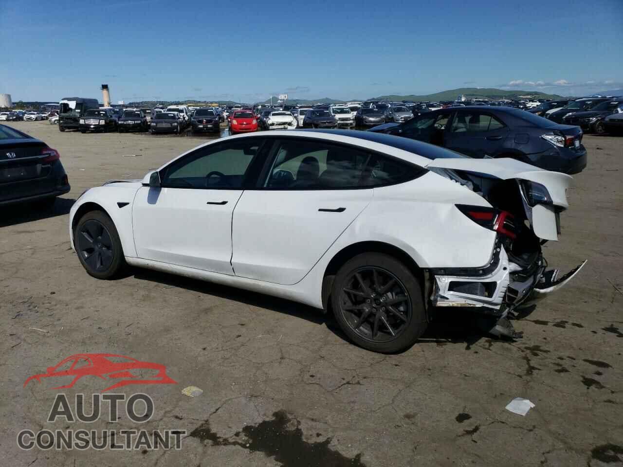 TESLA MODEL 3 2021 - 5YJ3E1EA2MF053165