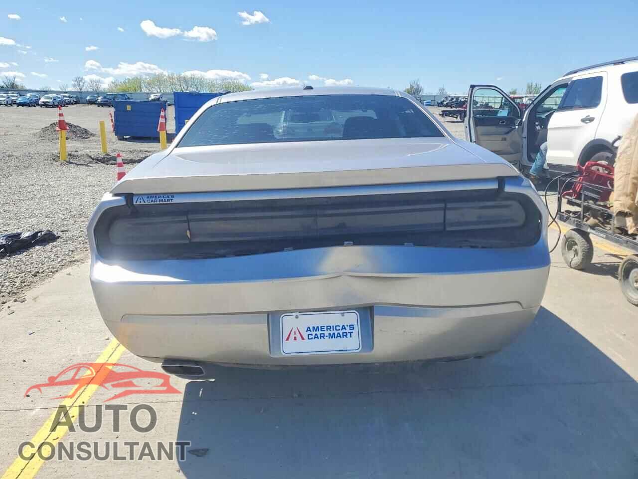 DODGE CHALLENGER 2013 - 2C3CDYBTXDH616298