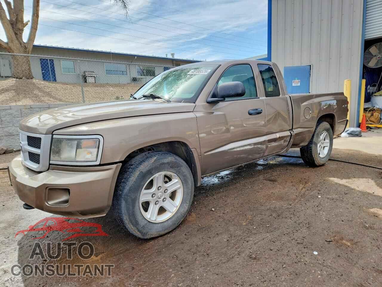 DODGE All Models 2010 - 1D7RW3BK3AS264217