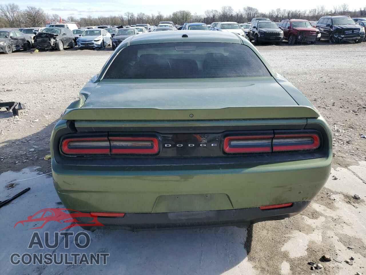 DODGE CHALLENGER 2019 - 2C3CDZBTXKH613775