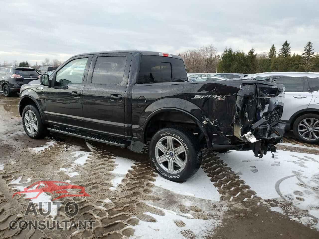 FORD F-150 2019 - 1FTEW1EP0KFC57739