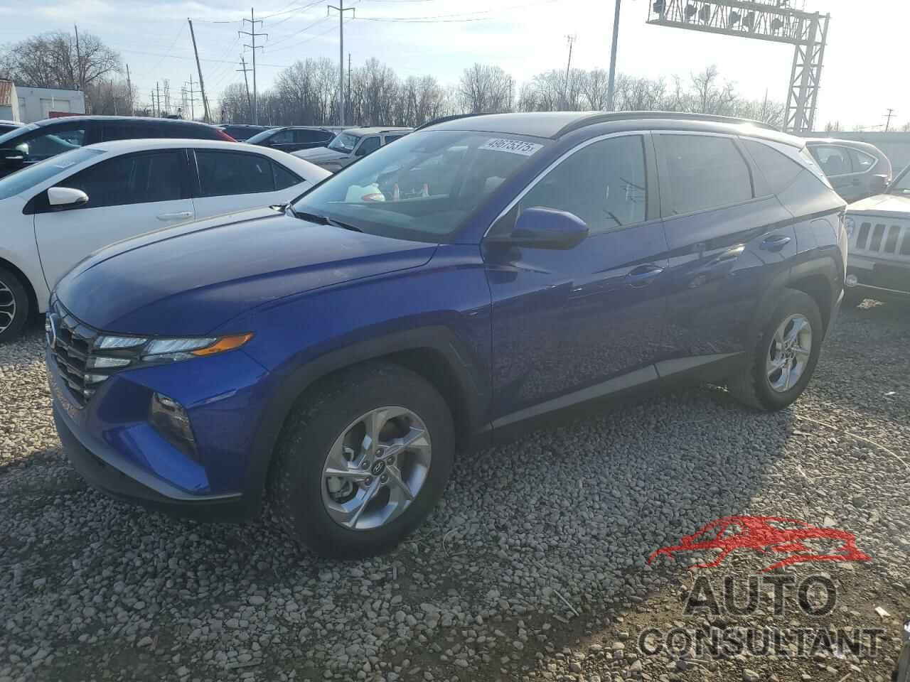 HYUNDAI TUCSON 2024 - 5NMJBCDE0RH314587