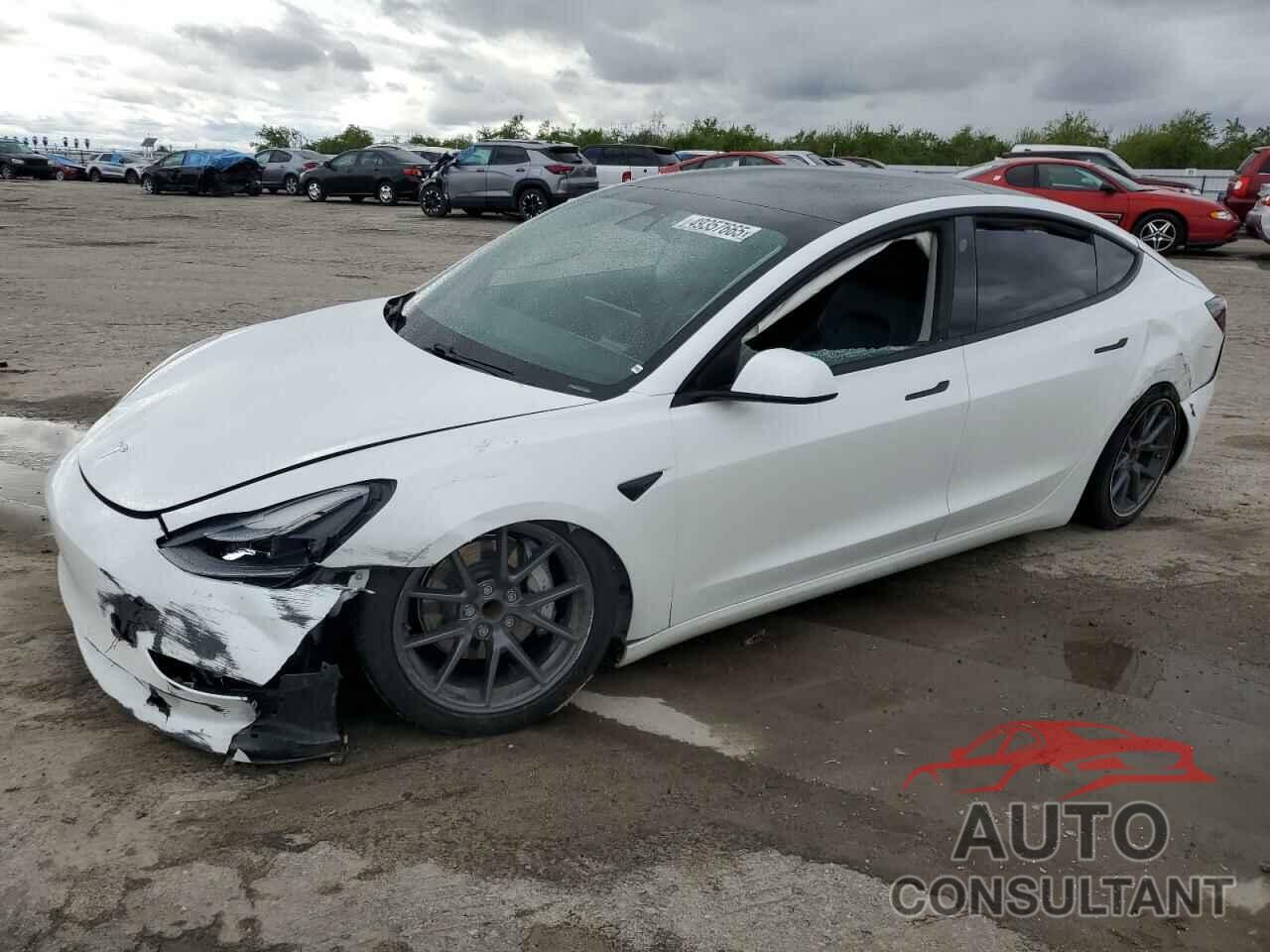 TESLA MODEL 3 2021 - 5YJ3E1EA0MF939730