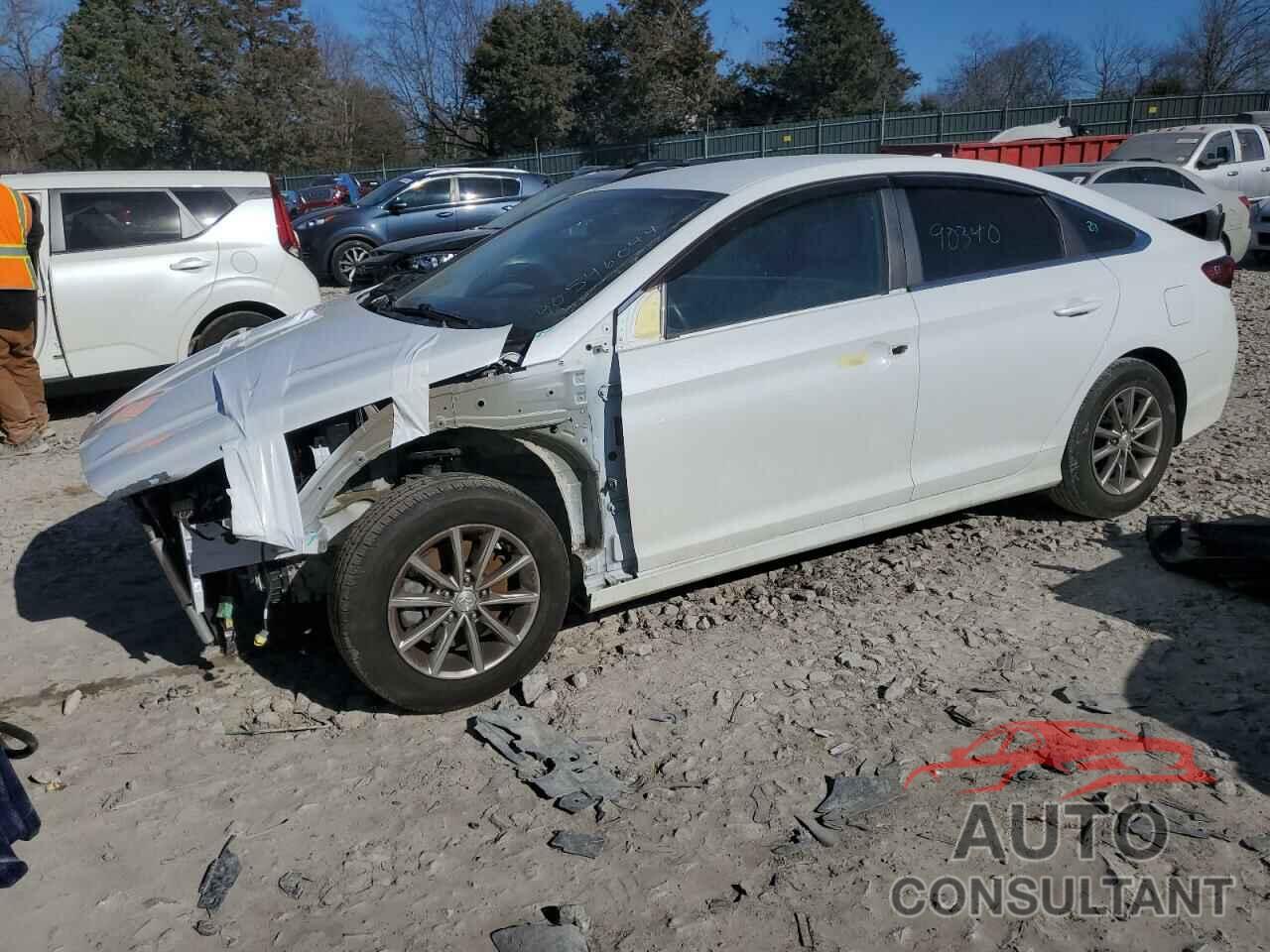 HYUNDAI SONATA 2019 - 5NPE24AF6KH772809