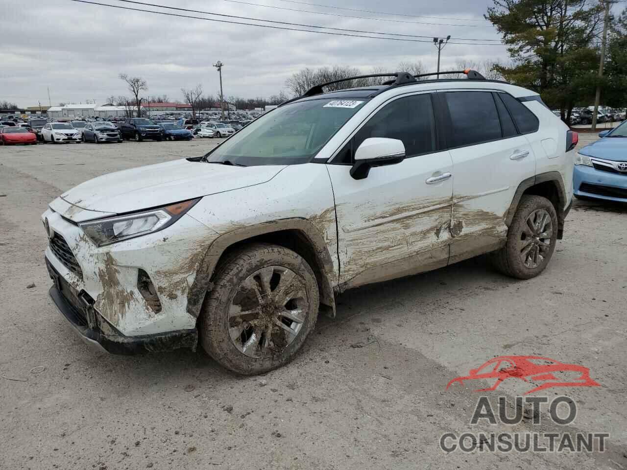 TOYOTA RAV4 2019 - JTMN1RFV6KD522296