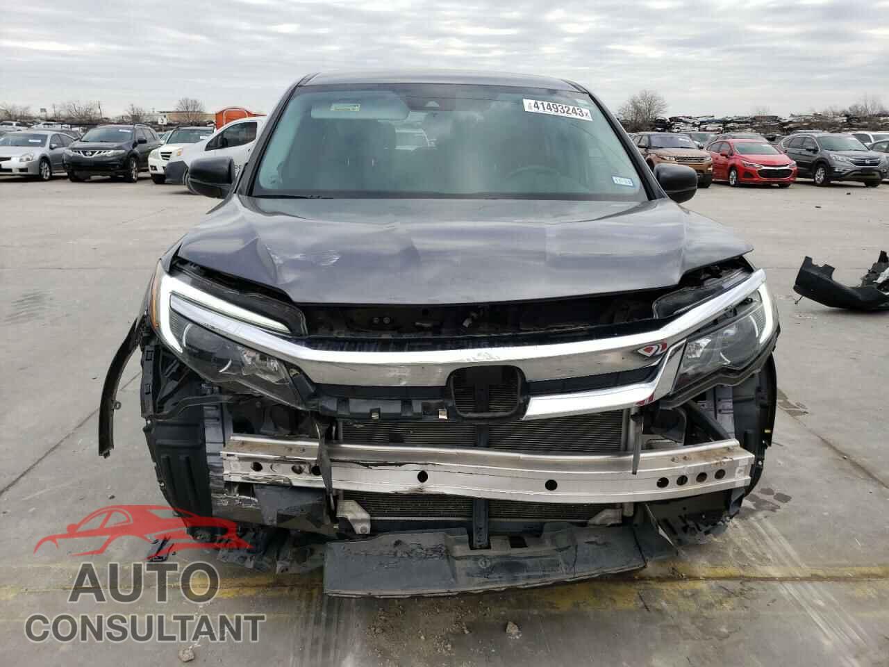HONDA PILOT 2019 - 5FNYF5H15KB028232