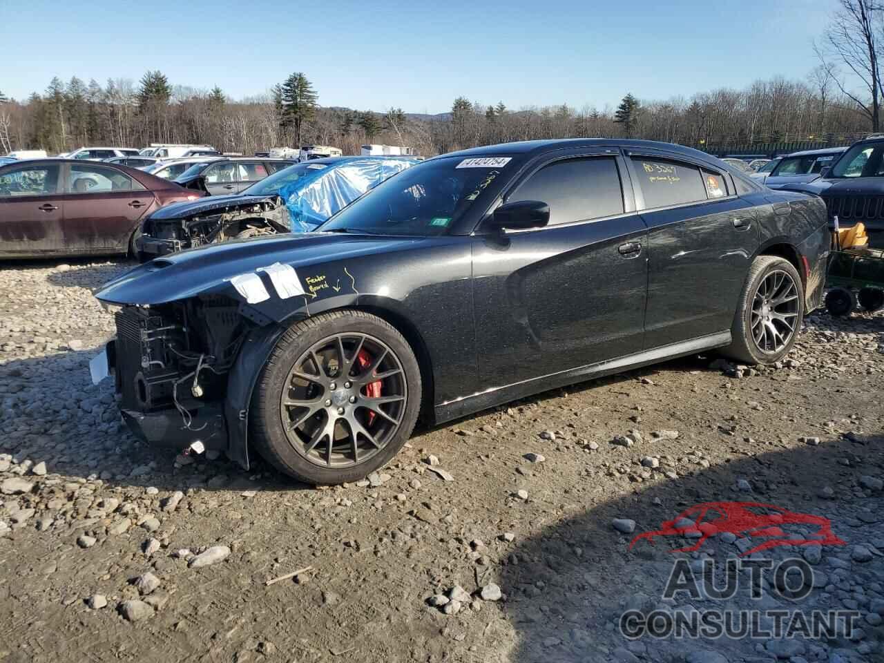 DODGE CHARGER 2016 - 2C3CDXEJ8GH205054