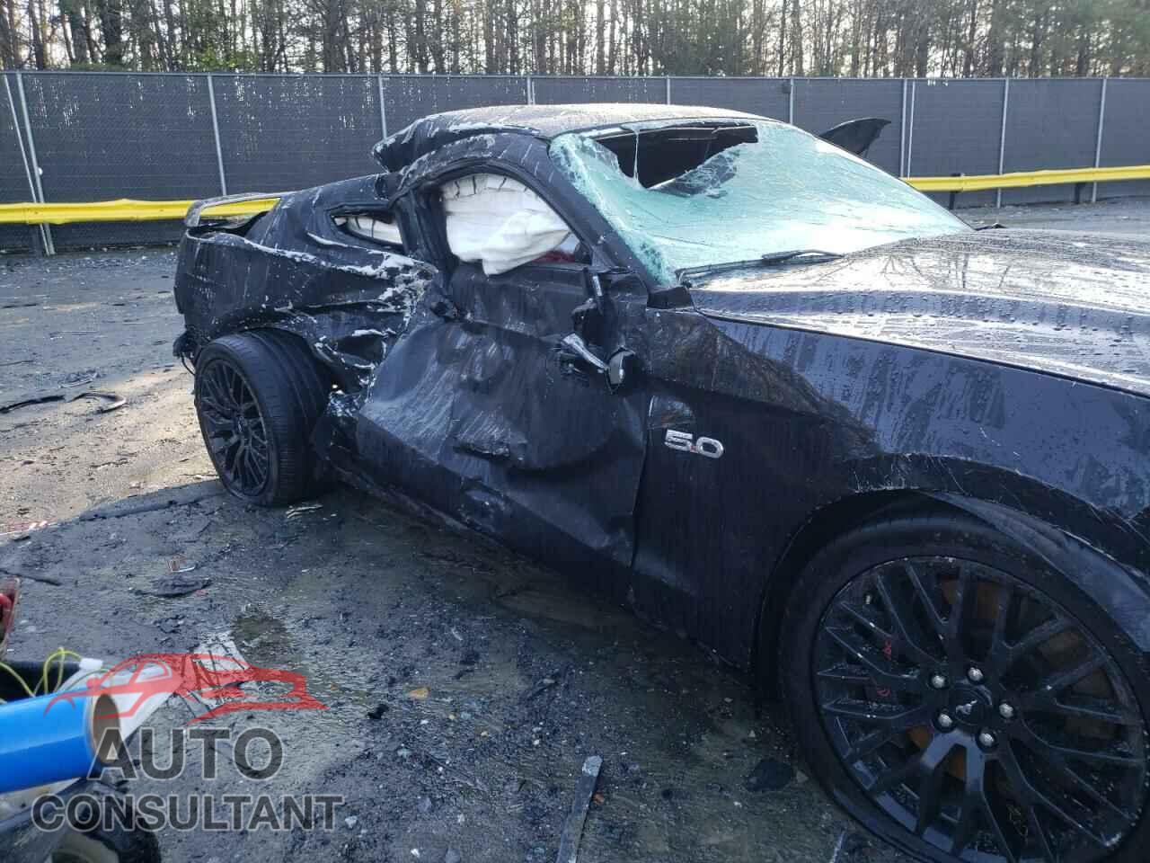 FORD MUSTANG 2019 - 1FA6P8CF0K5174263
