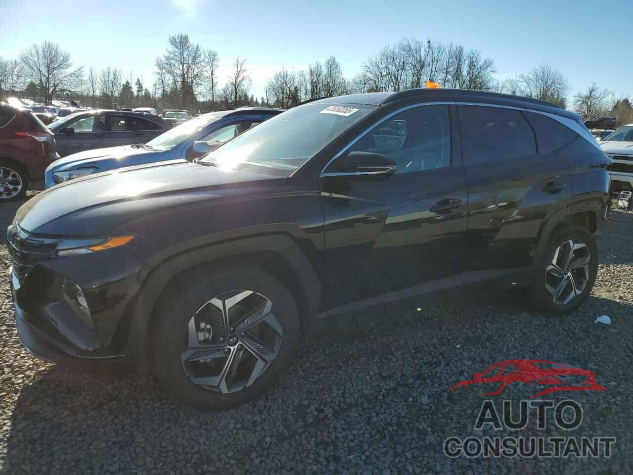 HYUNDAI TUCSON 2022 - KM8JECA1XNU027989