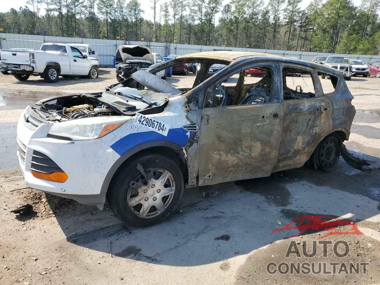 FORD ESCAPE 2014 - 1FMCU0F74EUC76750