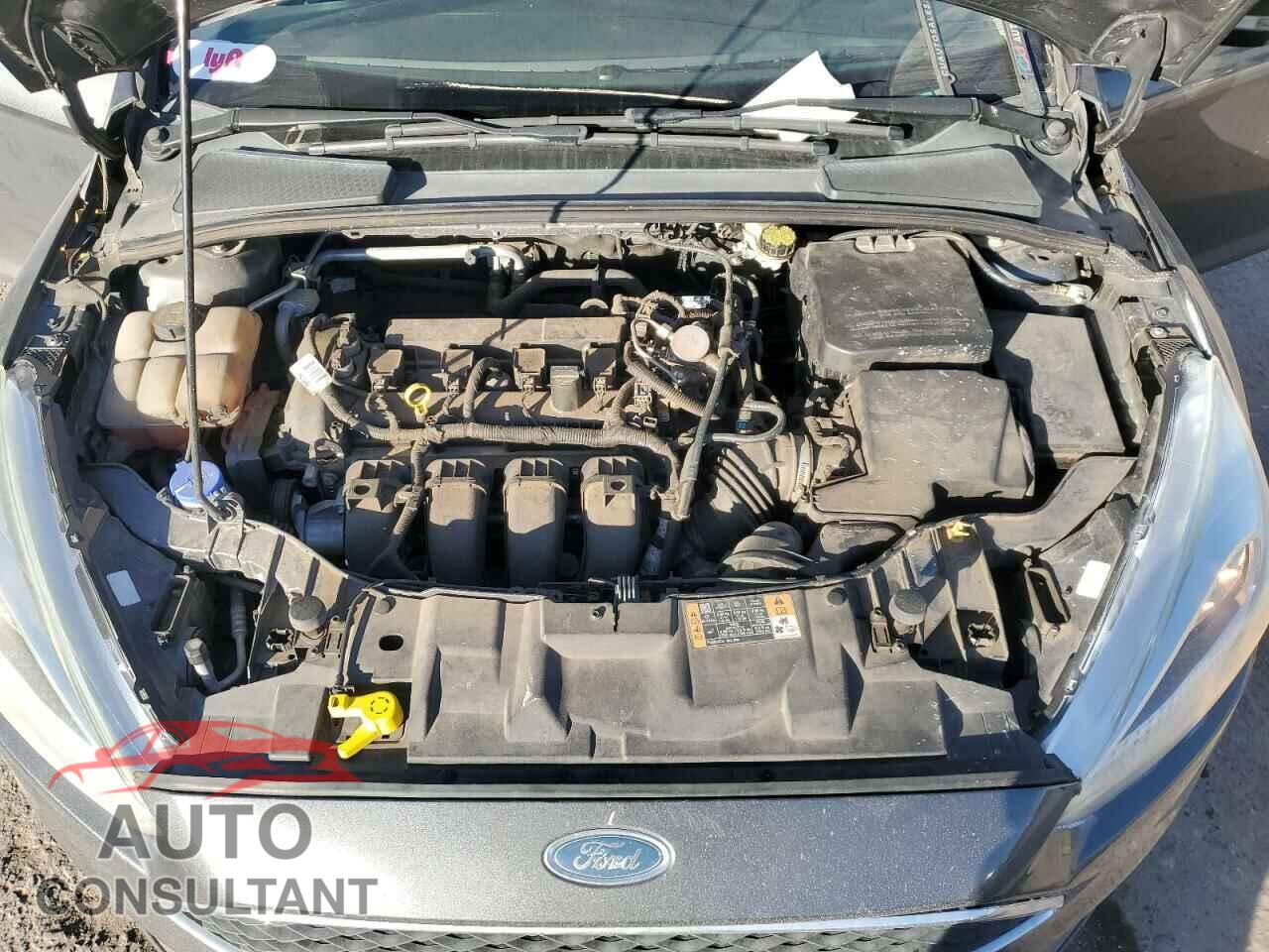 FORD FOCUS 2016 - 1FADP3F20GL346250