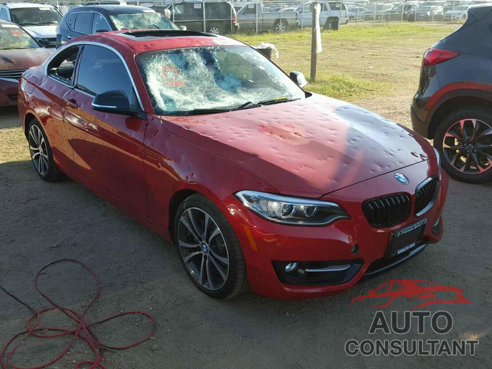 BMW 228 XI 2015 - WBA1F7C58FVX96301
