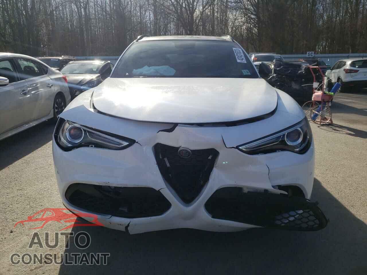 ALFA ROMEO STELVIO 2019 - ZASPAKBN2K7C59400
