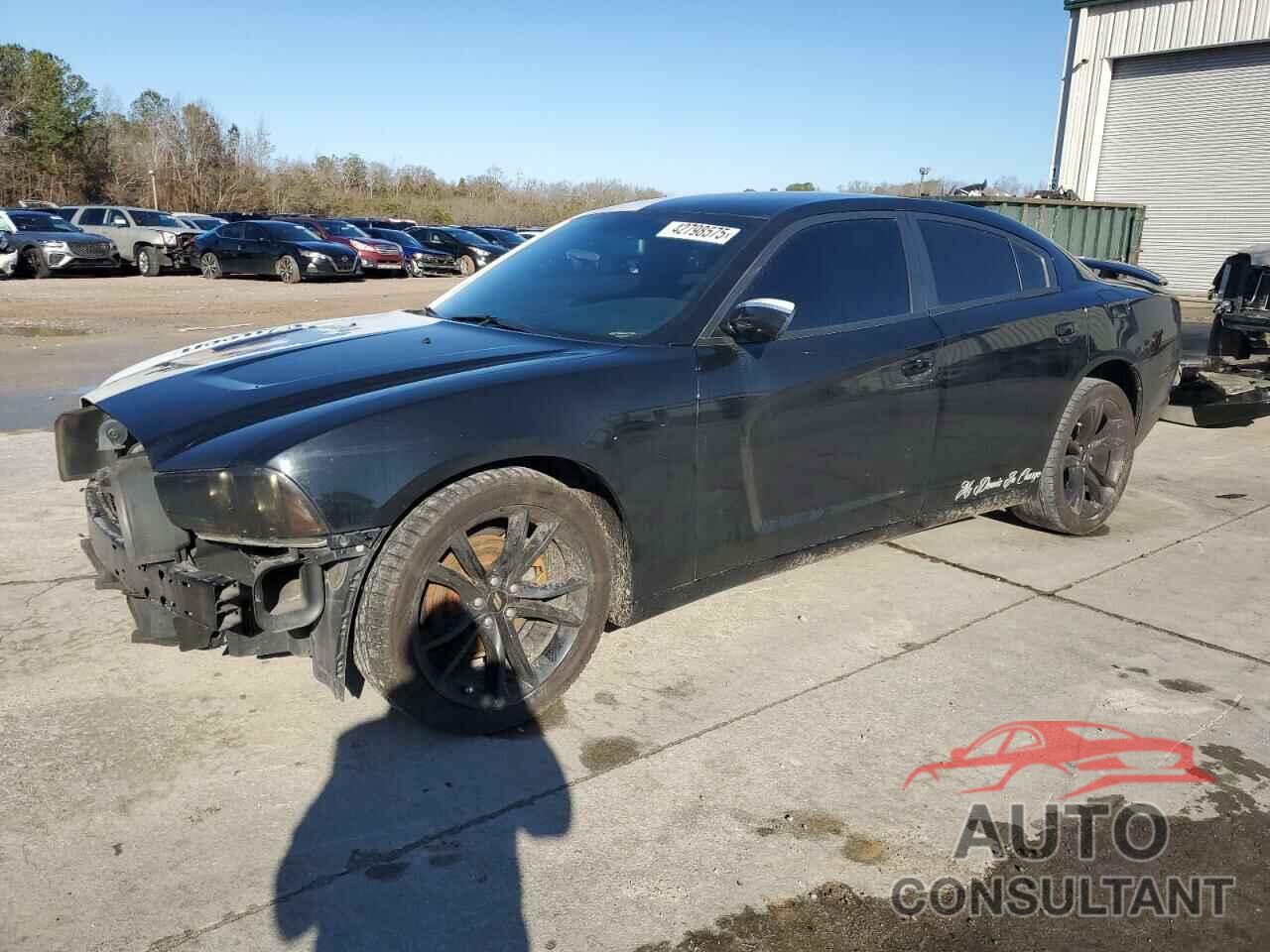 DODGE CHARGER 2014 - 2C3CDXBGXEH360078