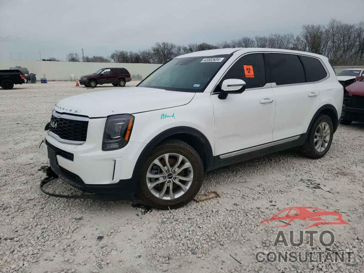 KIA TELLURIDE 2022 - 5XYP2DHC7NG250786