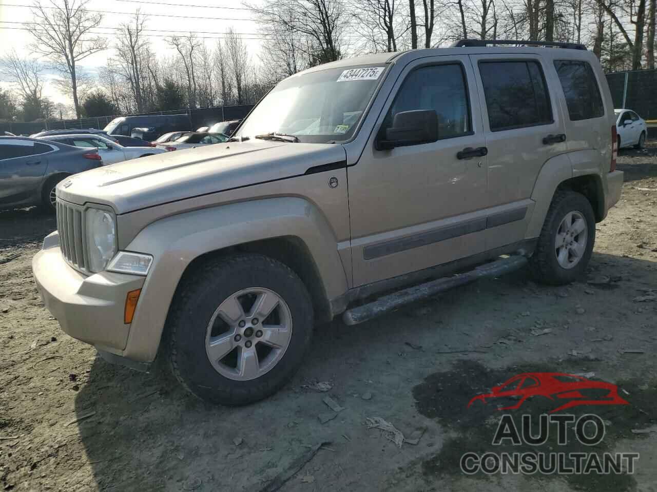 JEEP LIBERTY 2010 - 1J4PN2GK3AW136361