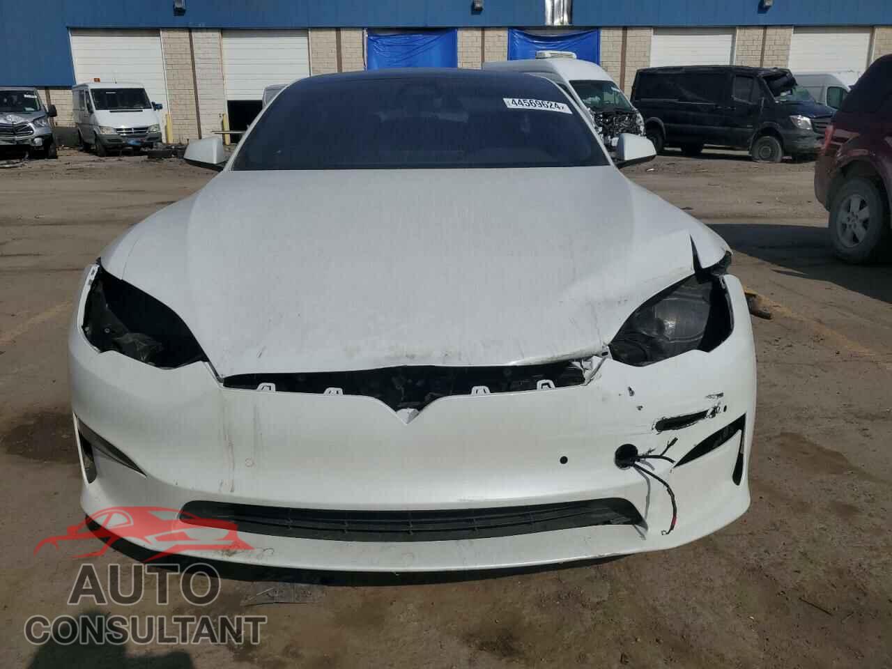 TESLA MODEL S 2021 - 5YJSA1E65MF439436