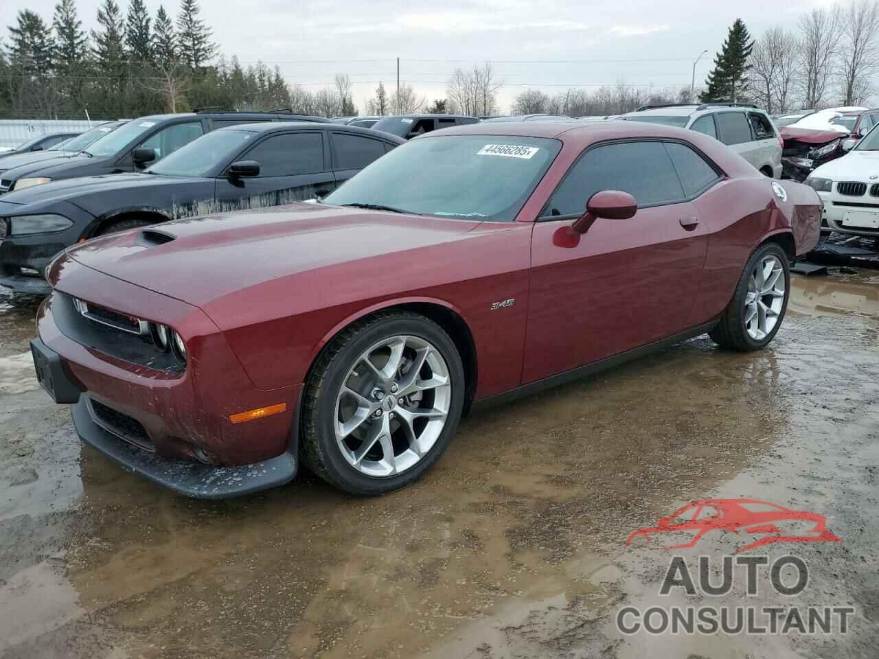 DODGE CHALLENGER 2023 - 2C3CDZBT0PH693174