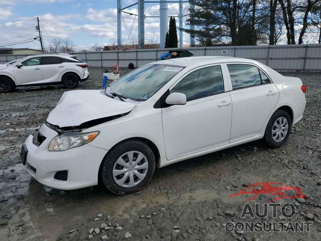 TOYOTA COROLLA 2010 - 2T1BU4EE1AC380241