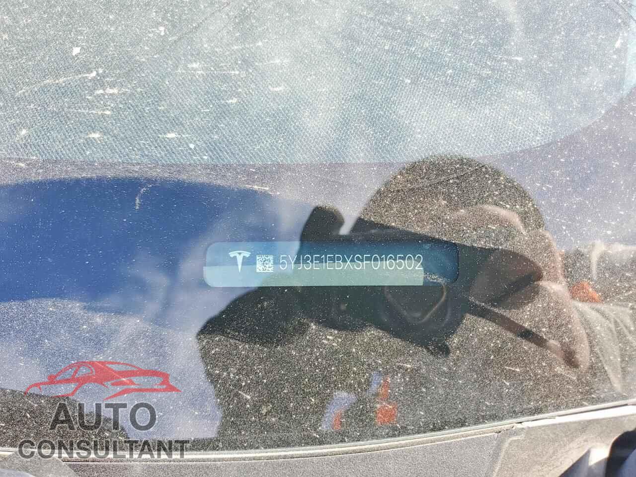 TESLA MODEL 3 2025 - 5YJ3E1EBXSF016502