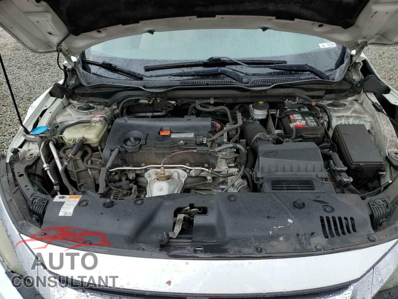 HONDA CIVIC 2017 - 2HGFC2F76HH507074