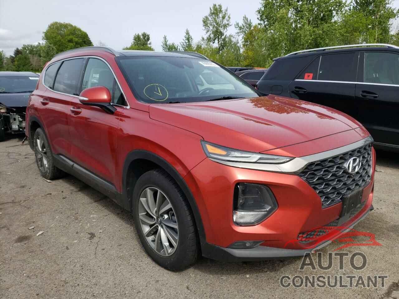 HYUNDAI SANTA FE 2019 - 5NMS5CAD0KH124415