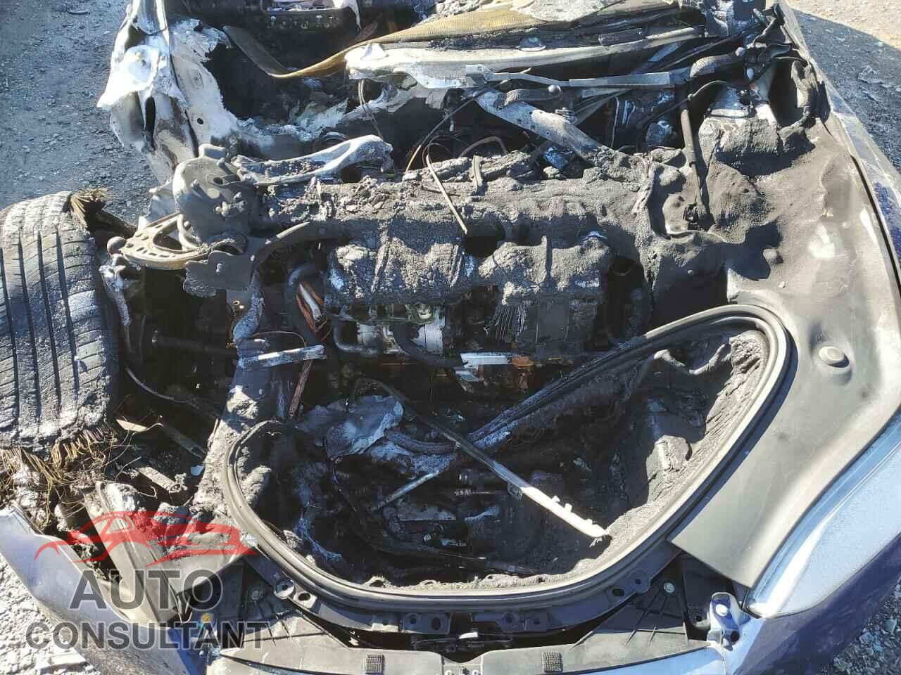 TESLA MODEL S 2016 - 5YJSA1E25GF159601