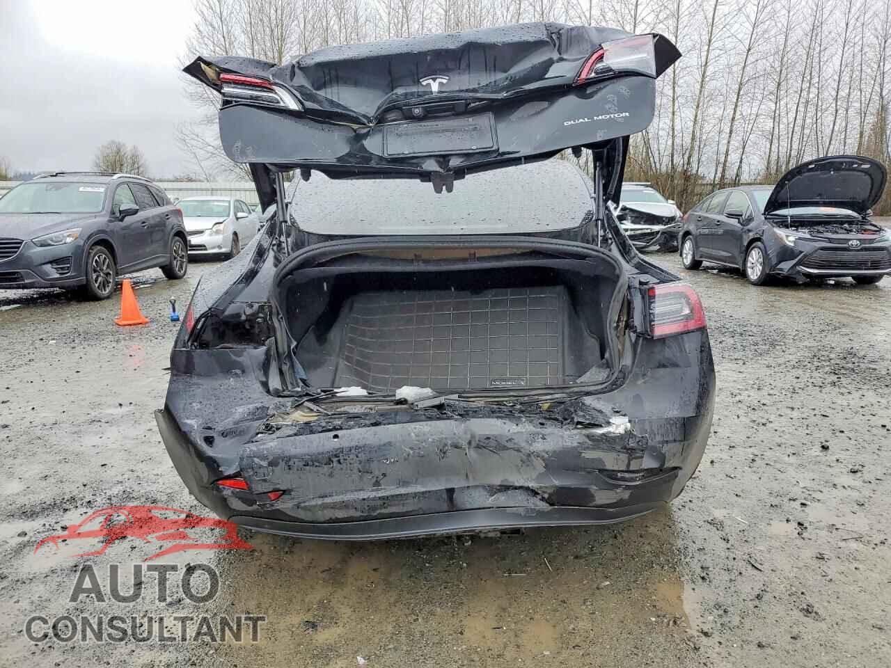 TESLA MODEL 3 2019 - 5YJ3E1EB6KF385759