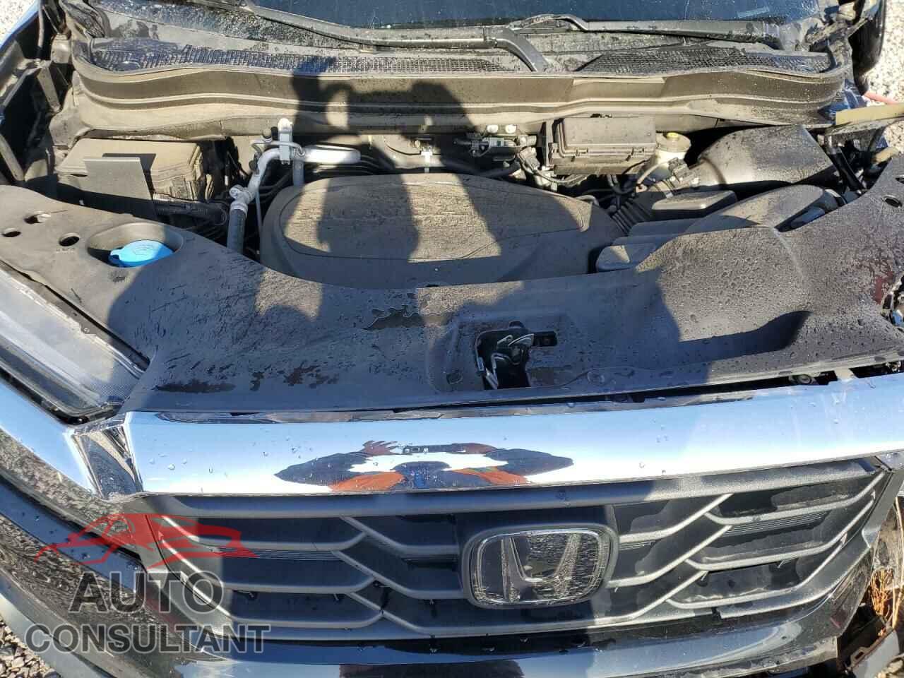 HONDA RIDGELINE 2021 - 5FPYK3F70MB010030