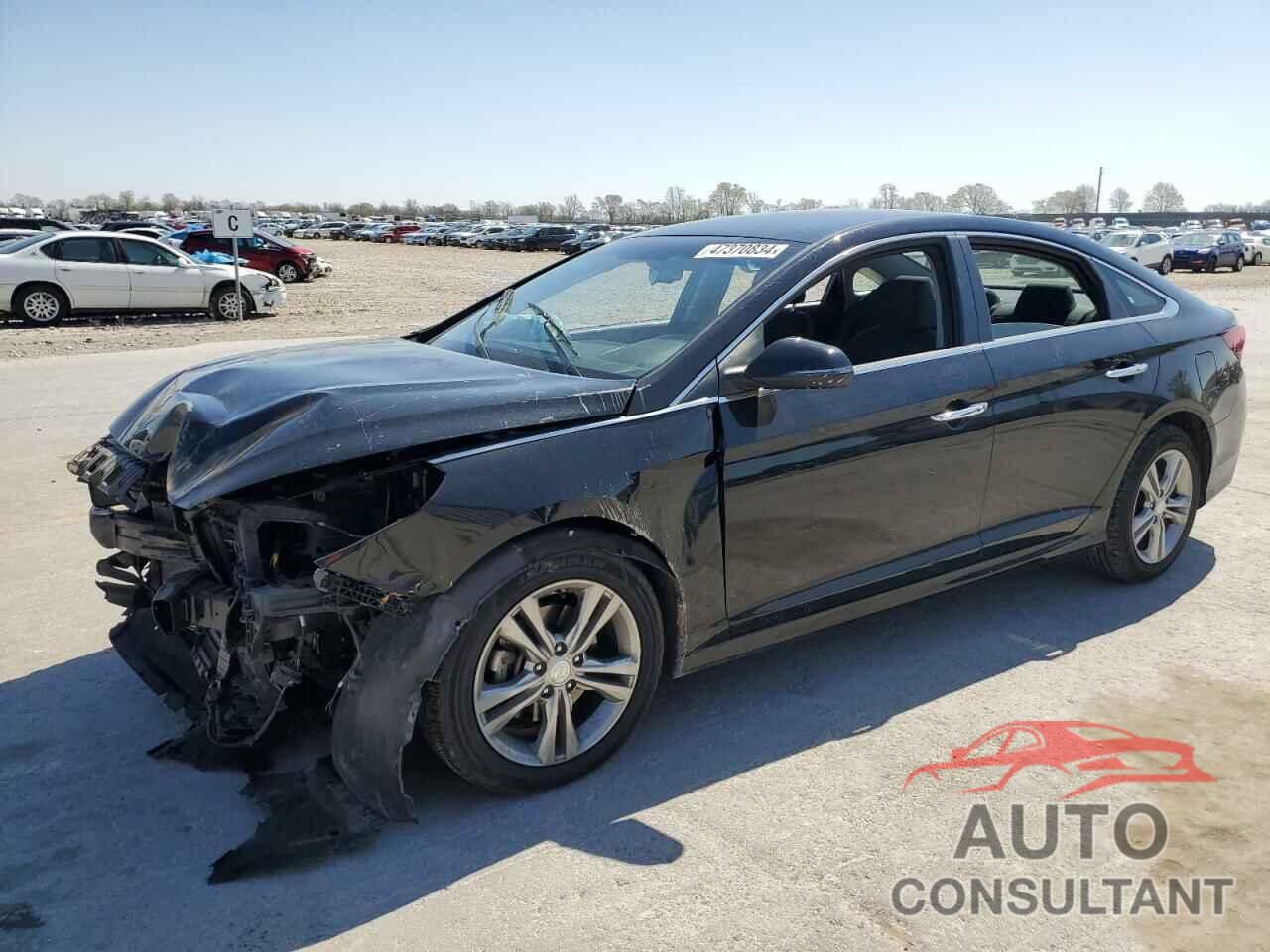 HYUNDAI SONATA 2019 - 5NPE34AF7KH763615