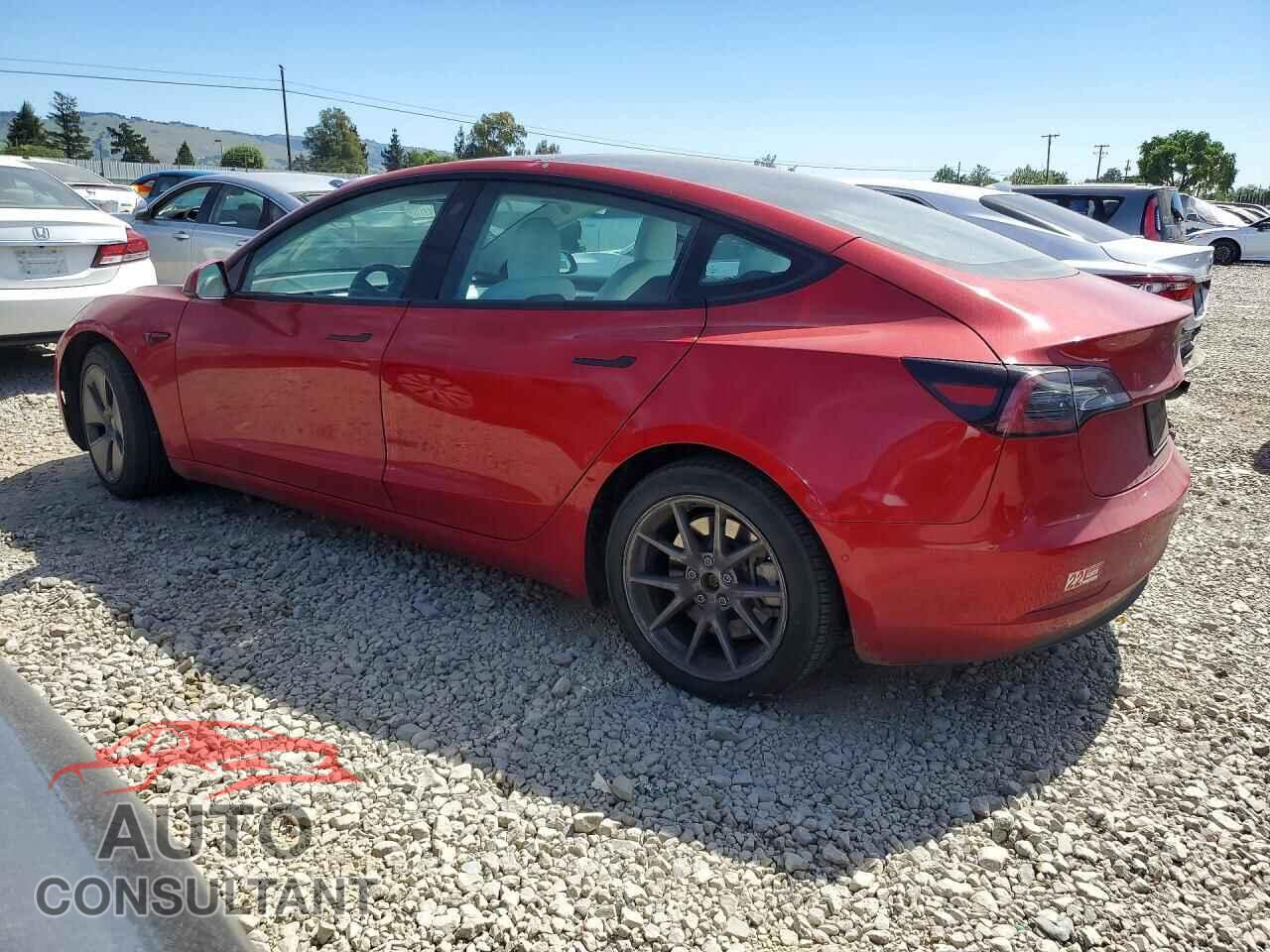 TESLA MODEL 3 2021 - 5YJ3E1EA3MF098101