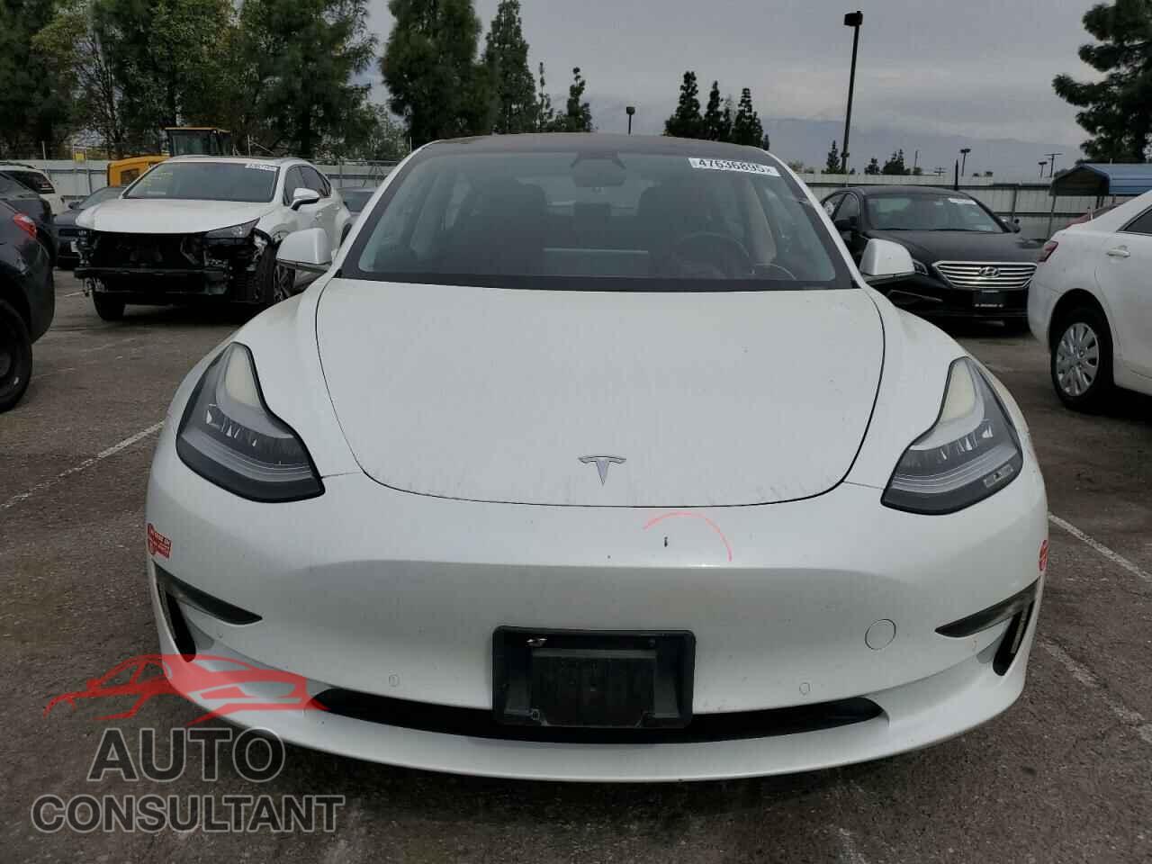 TESLA MODEL 3 2017 - 5YJ3E1EA3HF002084