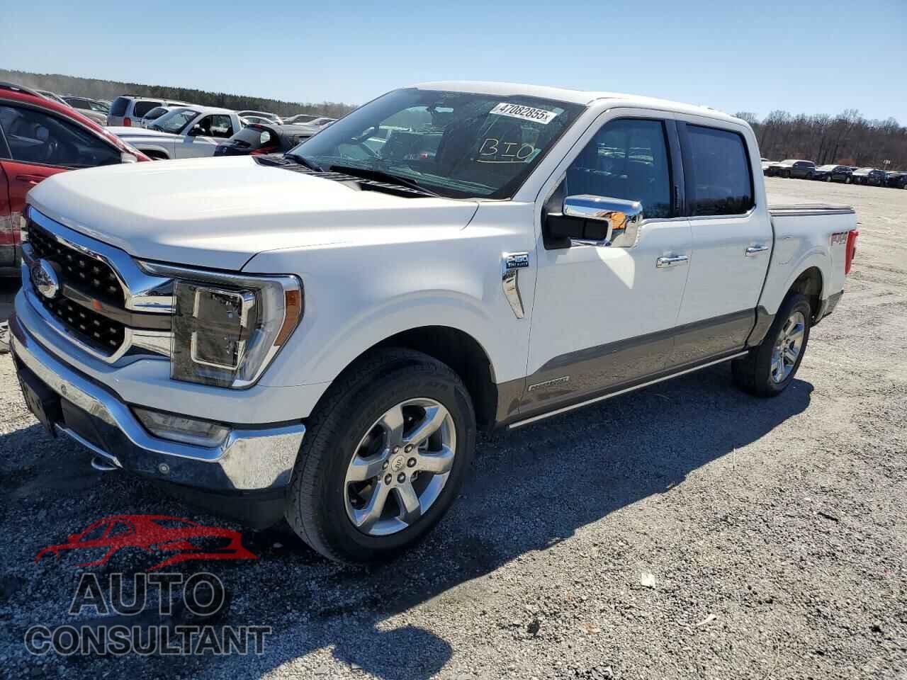 FORD F-150 2022 - 1FTFW1ED8NFA41264