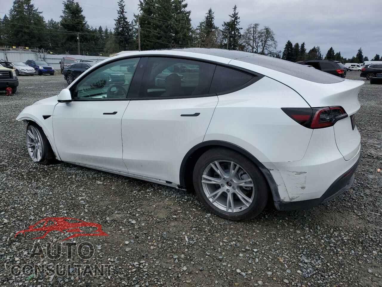 TESLA MODEL Y 2023 - 7SAYGDEE6PF782684