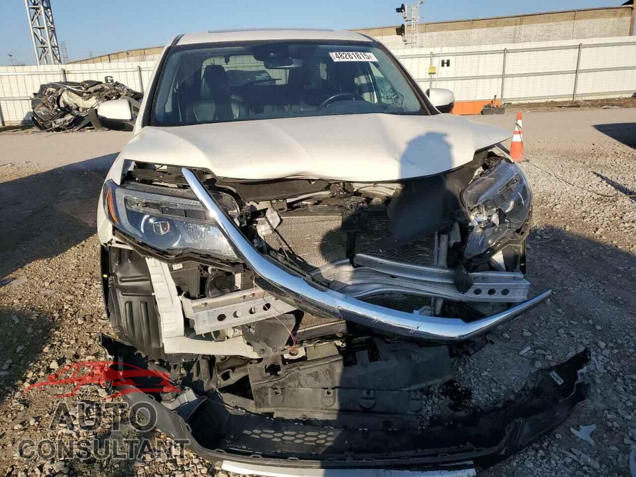 HONDA PILOT 2019 - 5FNYF6H58KB052890