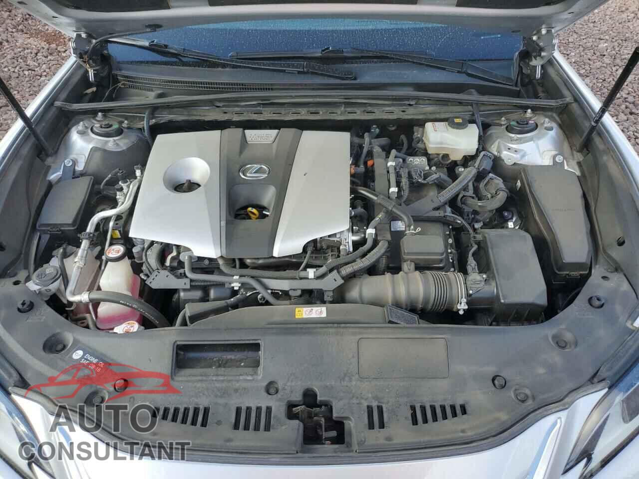 LEXUS ES300 2019 - JTHB21B12K2037183