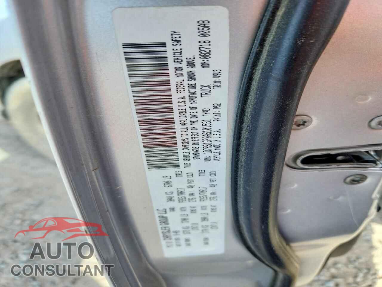 DODGE RAM 1500 2010 - 1D7RB1GP0AS101531