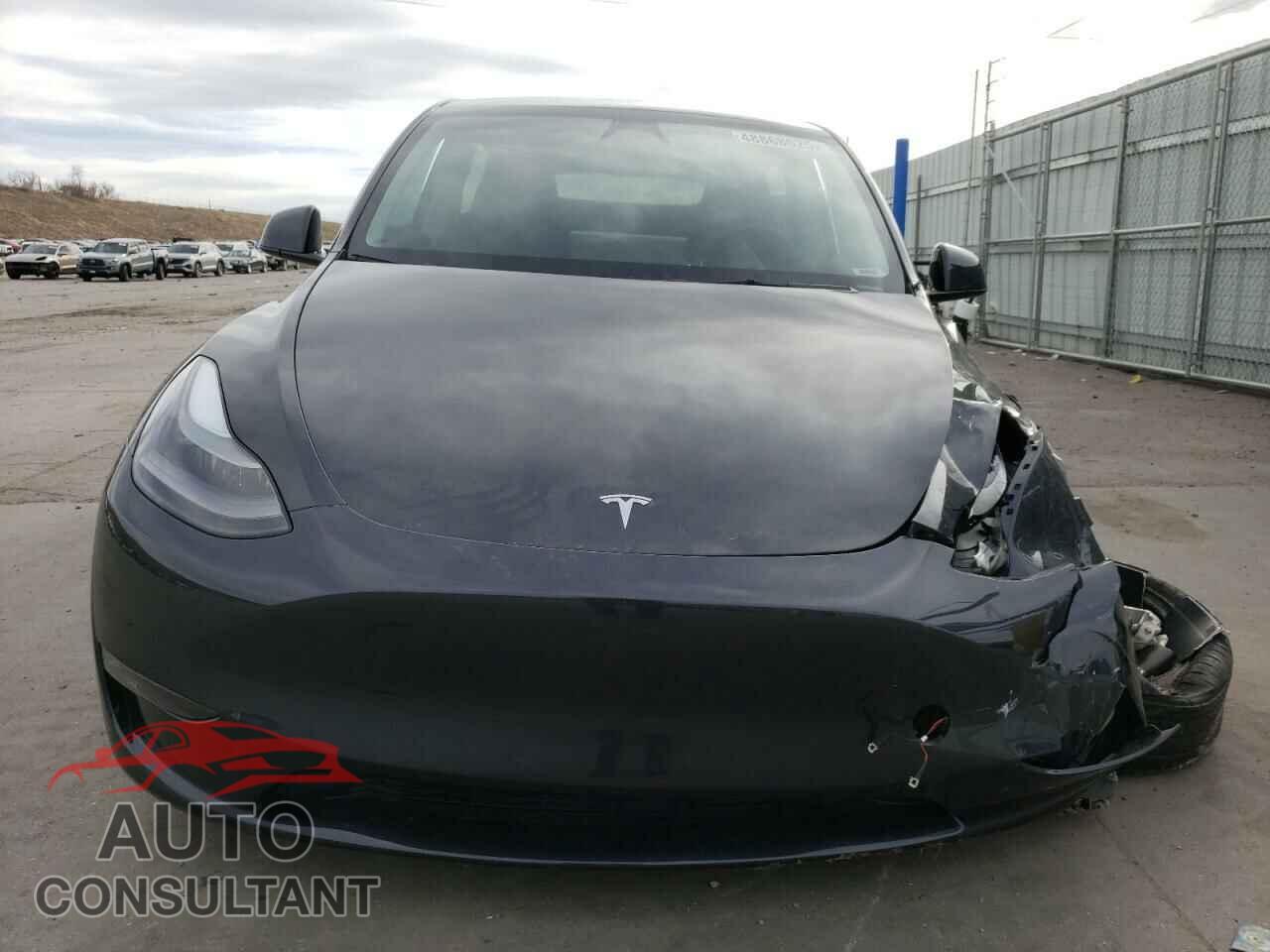 TESLA MODEL Y 2024 - 7SAYGAEE5RF038446