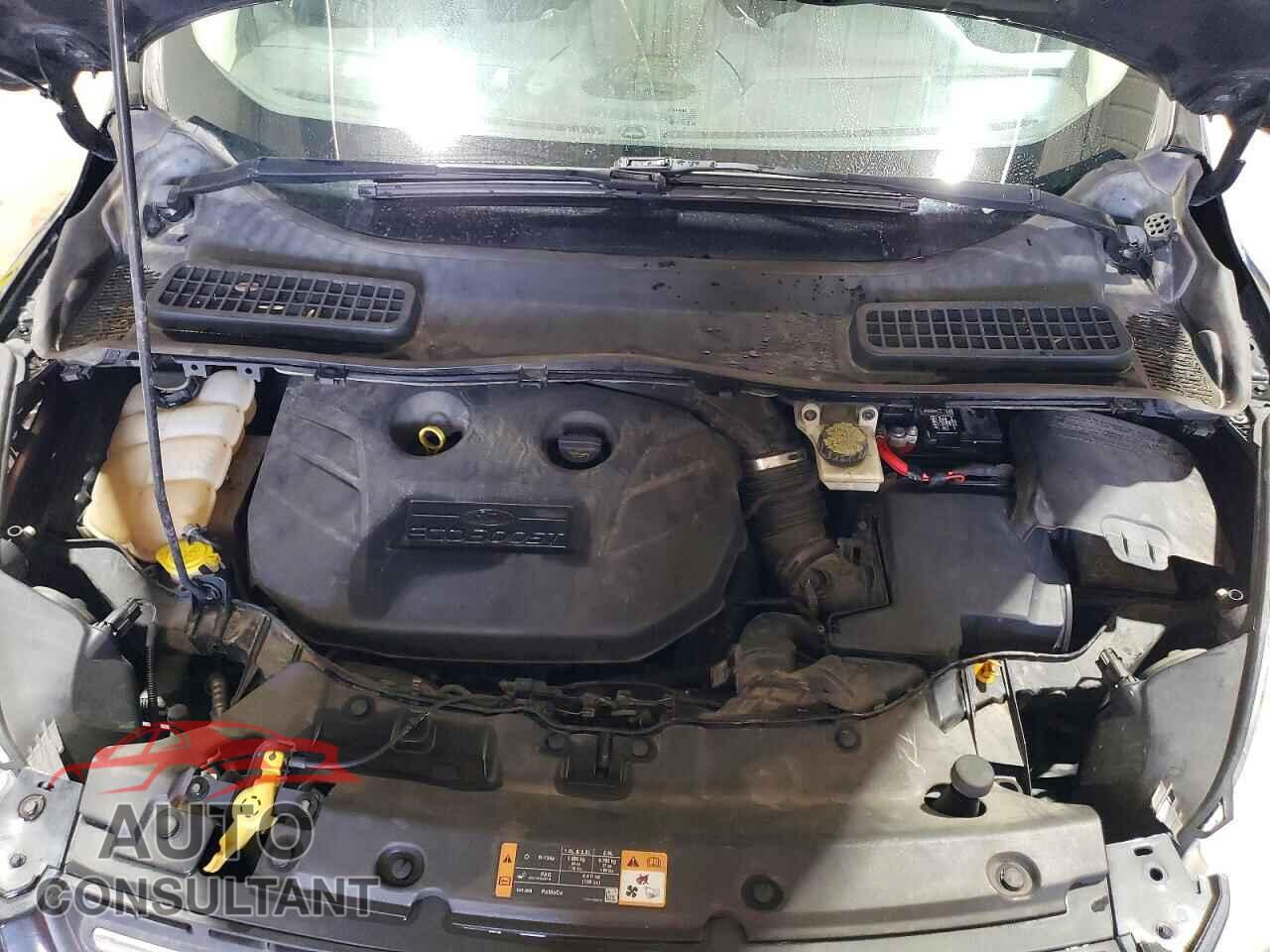 FORD ESCAPE 2014 - 1FMCU0G97EUB15342