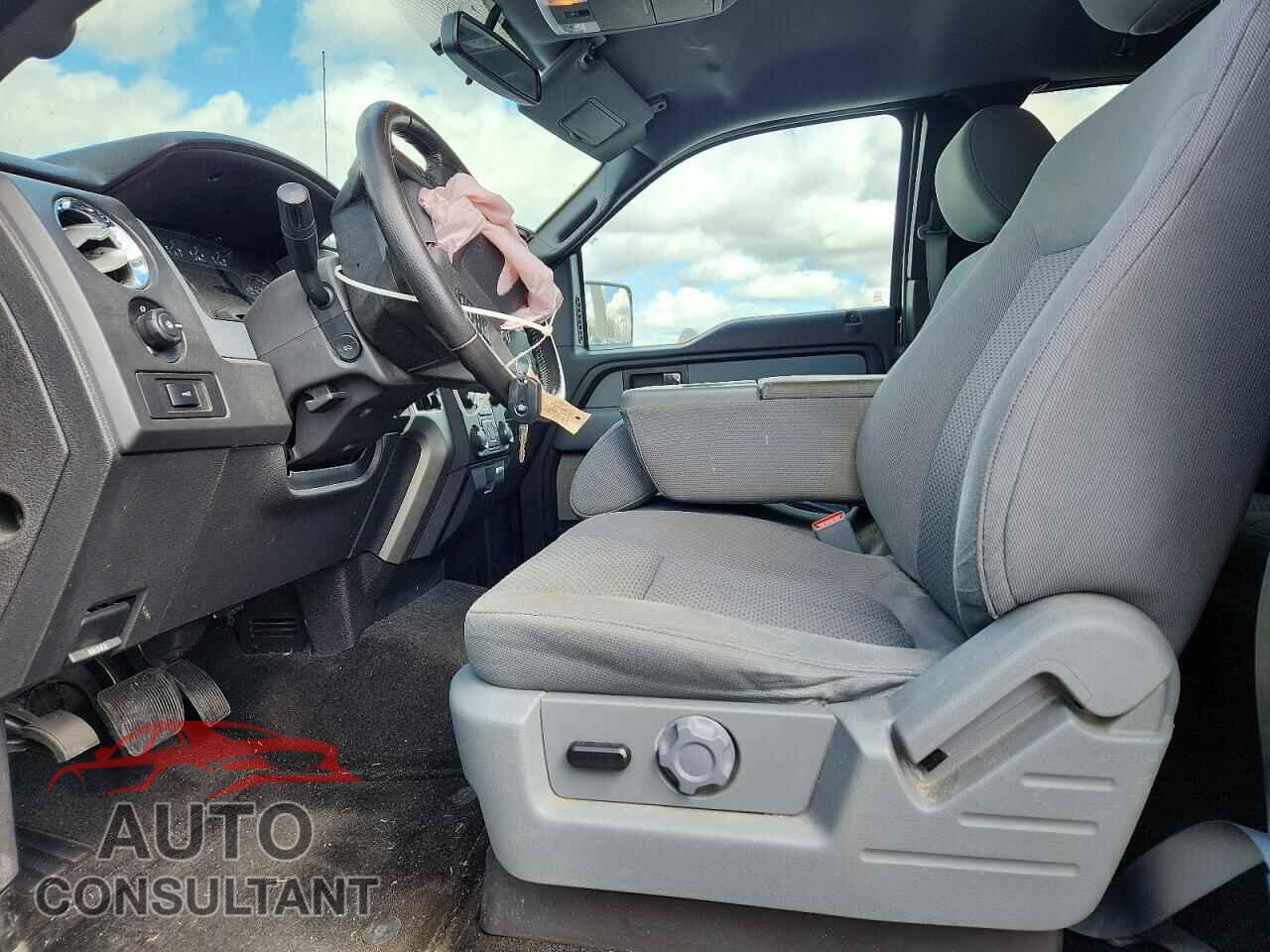FORD F150 2014 - 1FTFX1EF4EFA68962