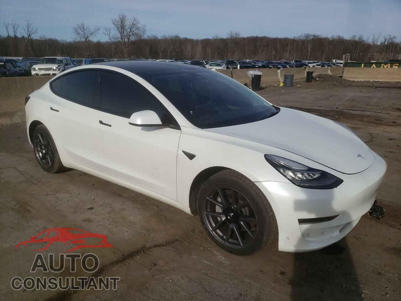 TESLA MODEL 3 2022 - 5YJ3E1EB2NF246216