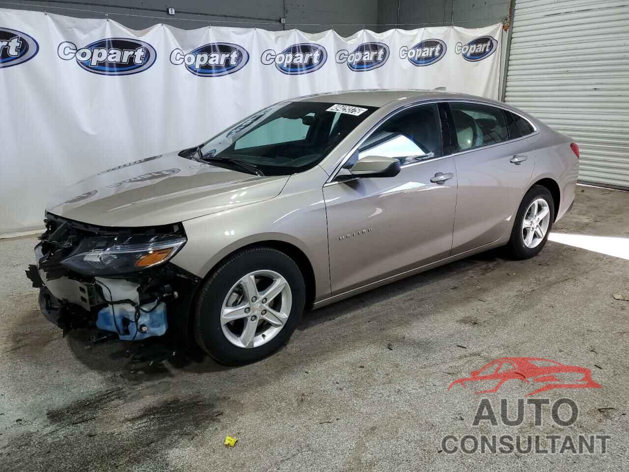 CHEVROLET MALIBU 2024 - 1G1ZD5STXRF206557