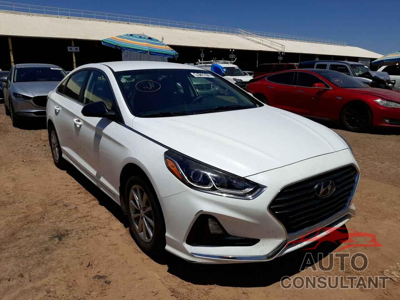 HYUNDAI SONATA 2019 - 5NPE24AF5KH805749