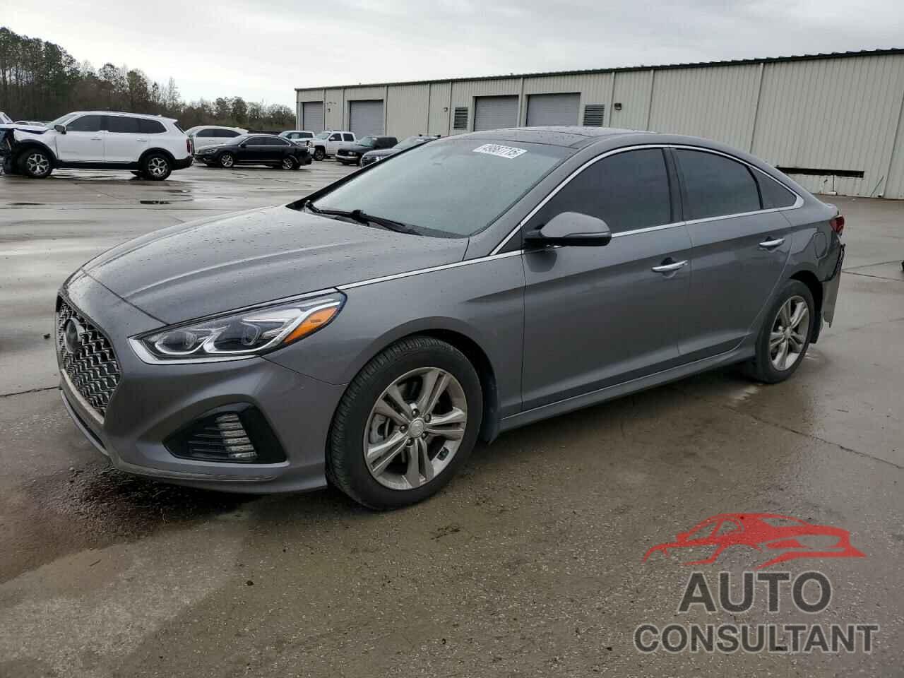 HYUNDAI SONATA 2019 - 5NPE34AF4KH800460