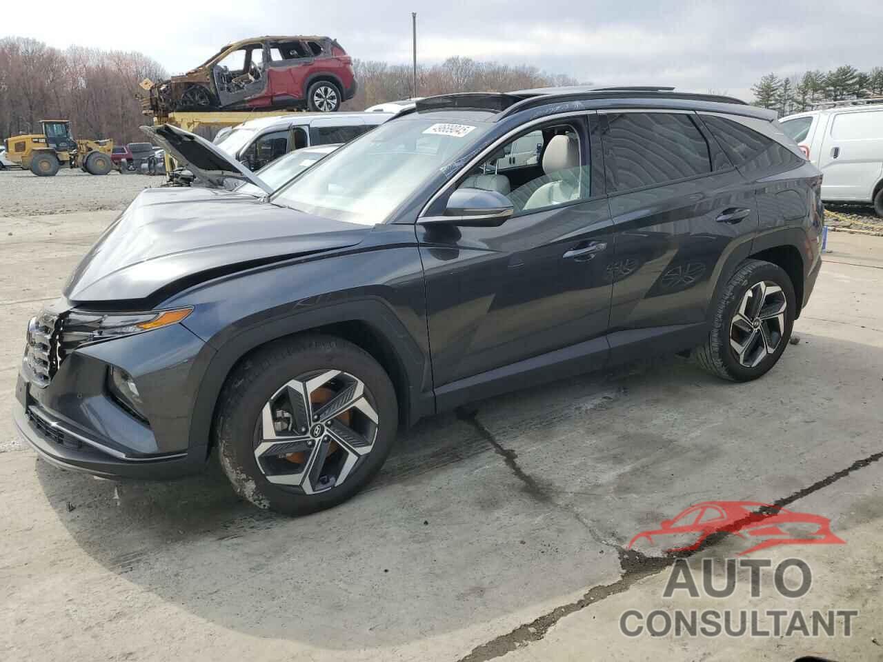 HYUNDAI TUCSON 2024 - 5NMJECDE5RH322059