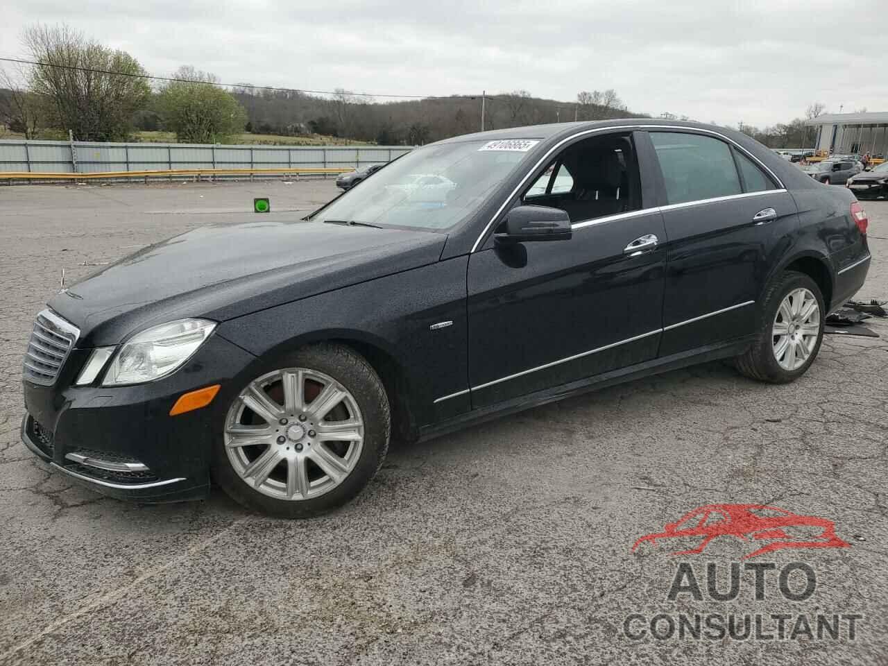 MERCEDES-BENZ E-CLASS 2012 - WDDHF2EB4CA551270