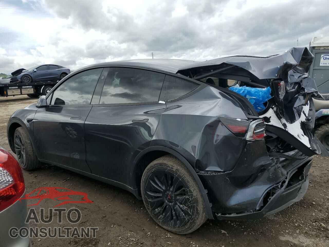 TESLA MODEL Y 2024 - 7SAYGDEE8RF060376